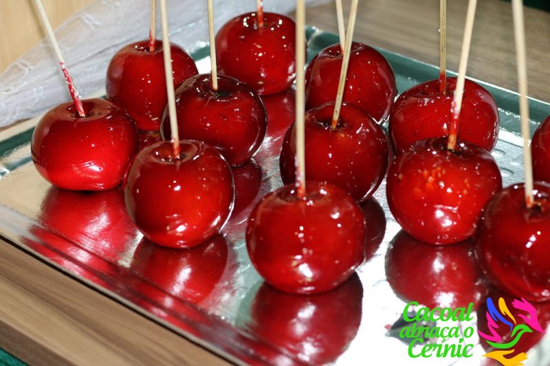 28º Feira da Solidariedade (Domingo)